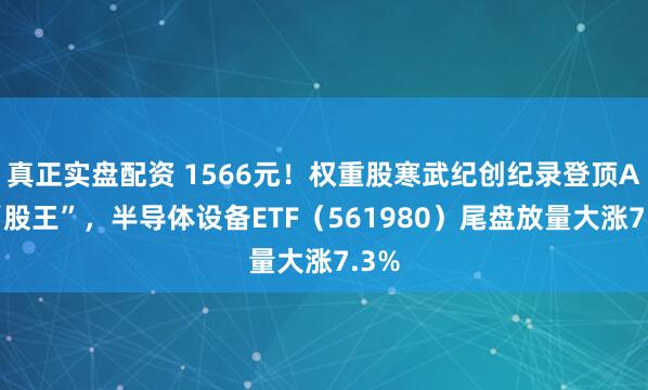 真正实盘配资 1566元！权重股寒武纪创纪录登顶A股“股王”，半导体设备ETF（561980）尾盘放量大涨7.3%