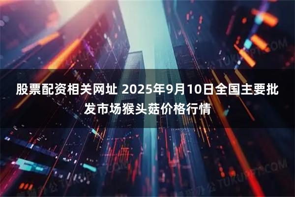 股票配资相关网址 2025年9月10日全国主要批发市场猴头菇价格行情