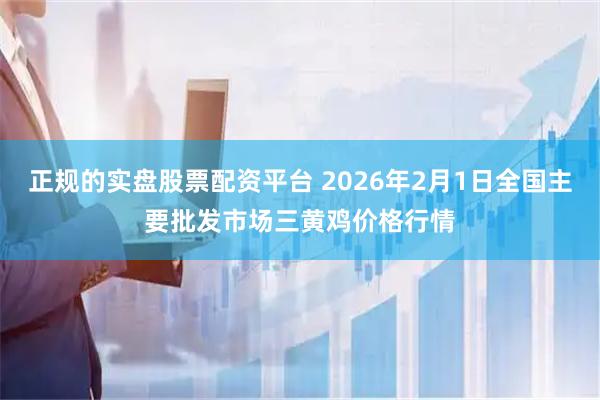 正规的实盘股票配资平台 2026年2月1日全国主要批发市场三黄鸡价格行情